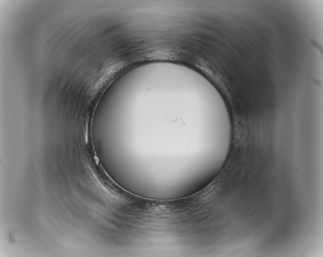 X0000099540062200805301509