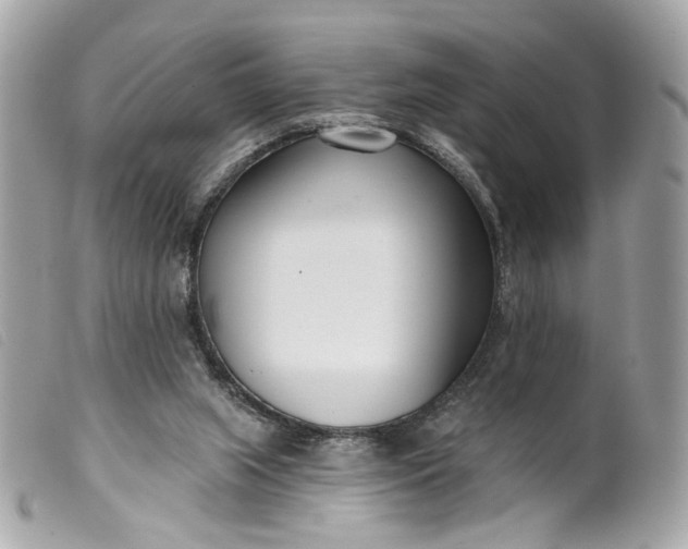 X0000099540063200805301509