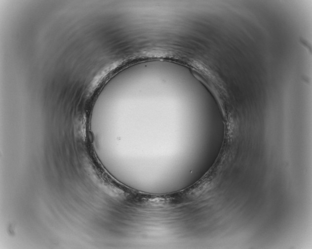 X0000099540064200805301509