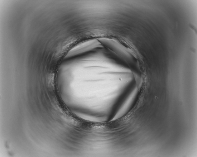 X0000099540066200805301509