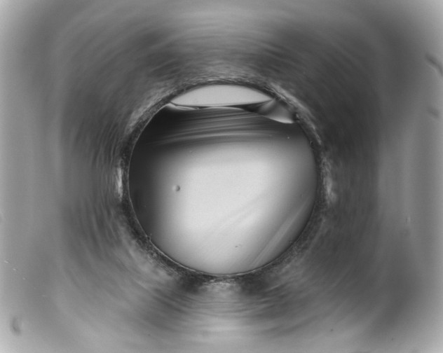 X0000099540067200805301509