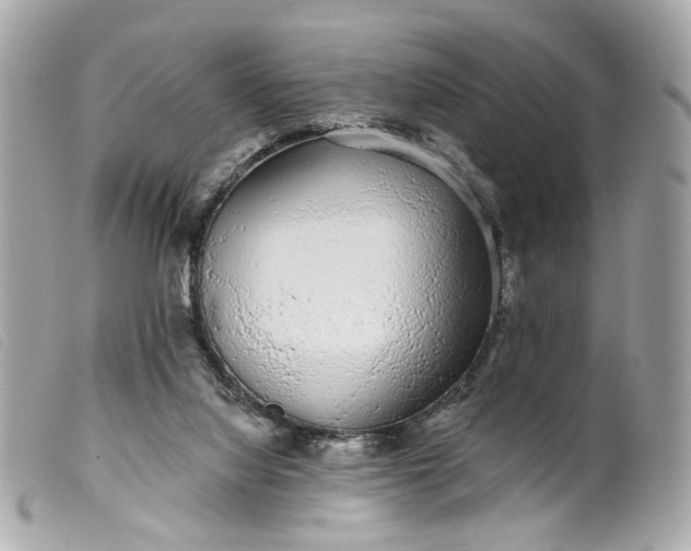 X0000099540068200805301509