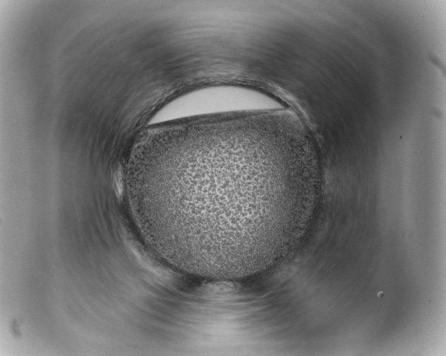 X0000099540069200805301509