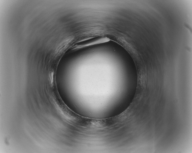 X0000099540070200805301509