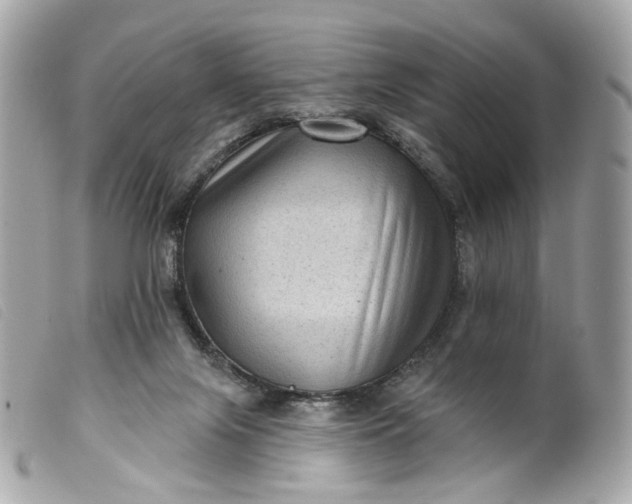 X0000099540071200805301509