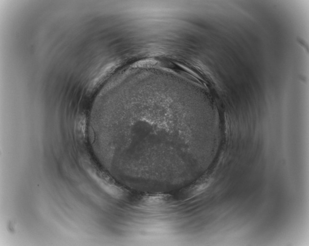 X0000099540072200805301509