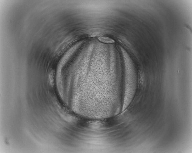 X0000099540074200805301509