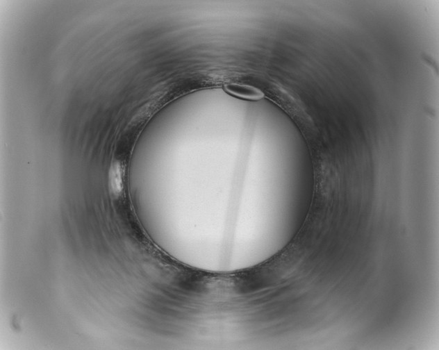 X0000099540075200805301509