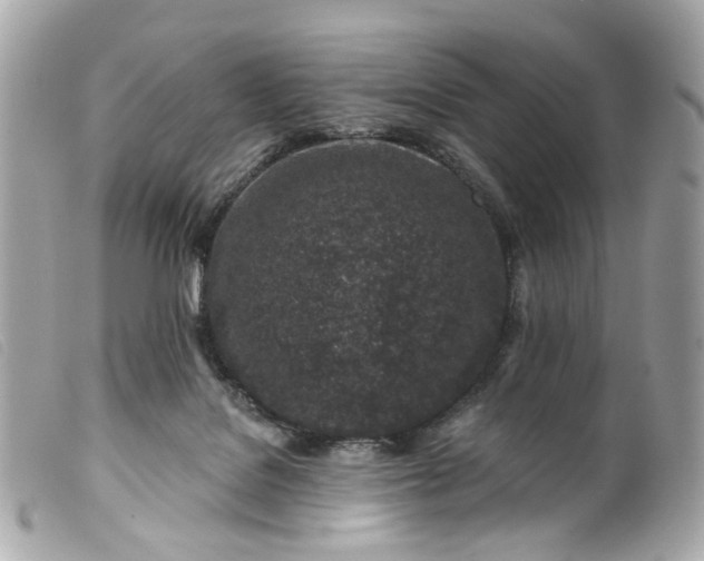 X0000099540076200805301509