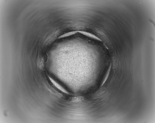 X0000099540077200805301509