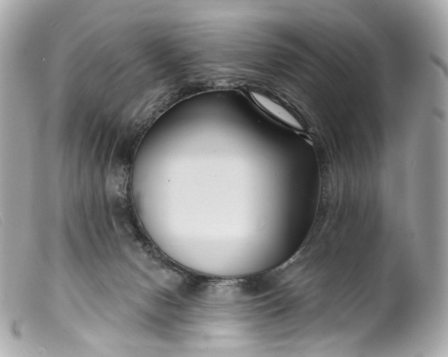 X0000099540078200805301509