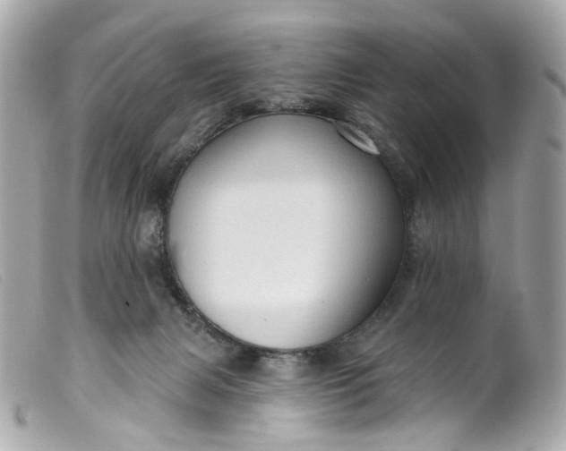 X0000099540079200805301509