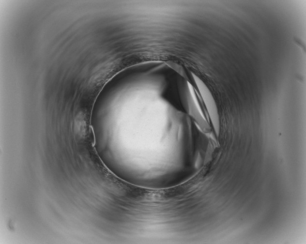 X0000099540080200805301509