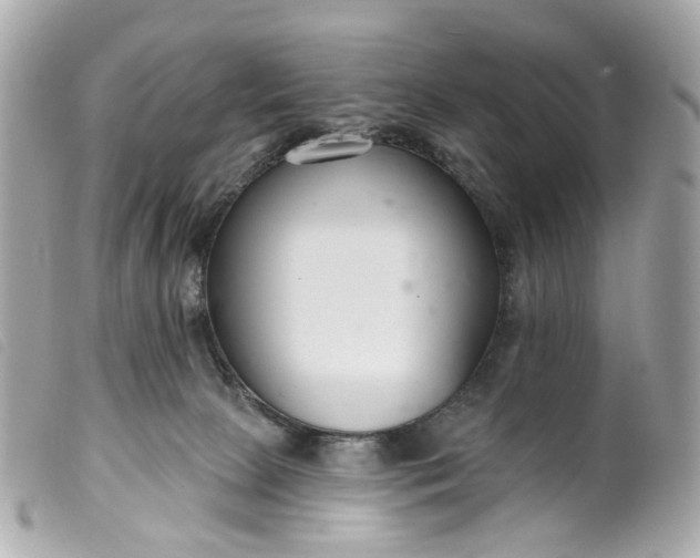 X0000099540081200805301509