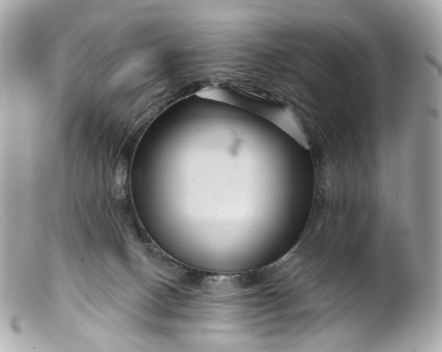 X0000099540082200805301509