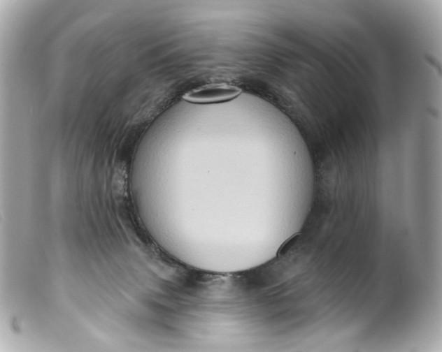 X0000099540083200805301509