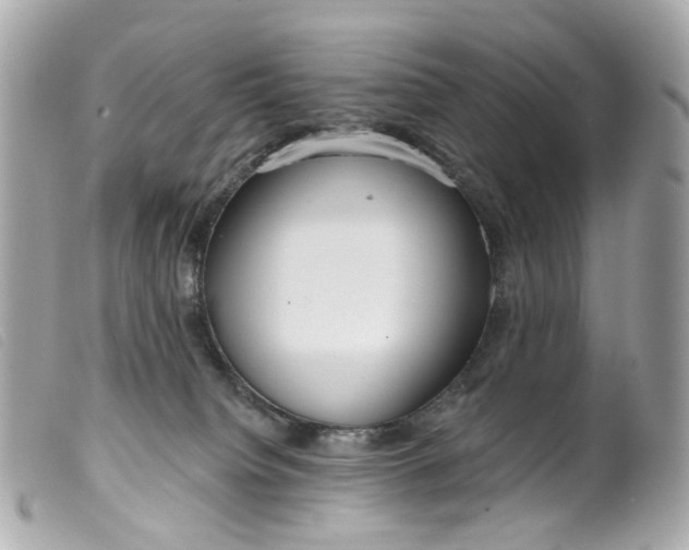 X0000099540084200805301509