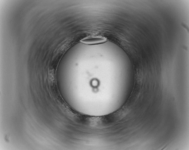 X0000099540085200805301509