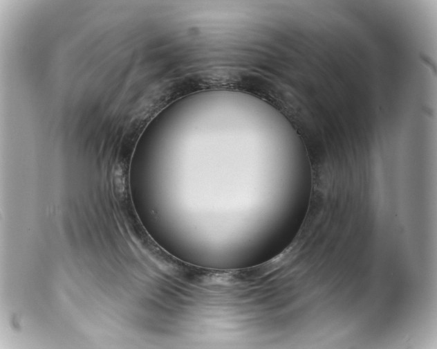 X0000099540086200805301509