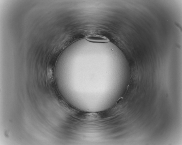 X0000099540087200805301509