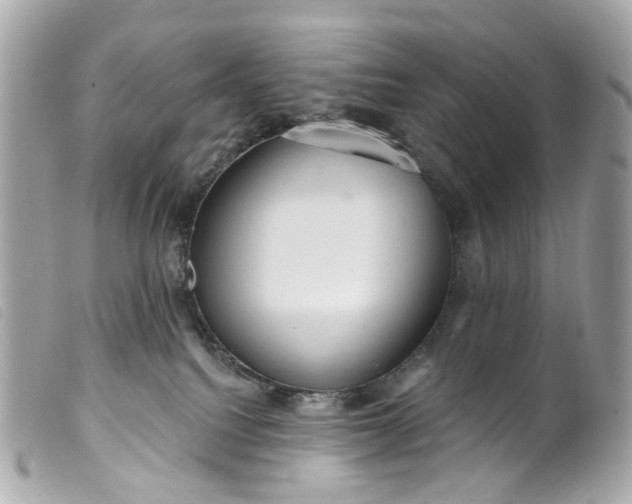 X0000099540088200805301509