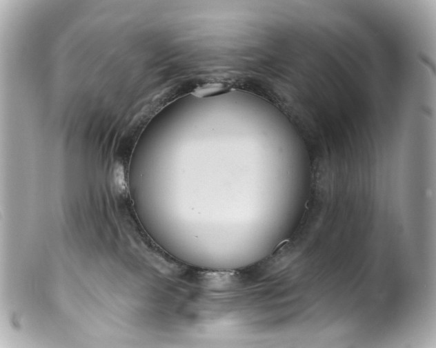 X0000099540089200805301509