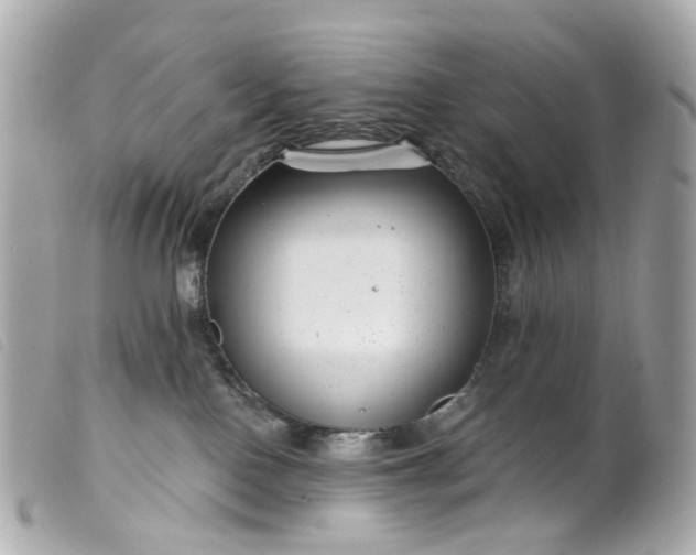 X0000099540090200805301509