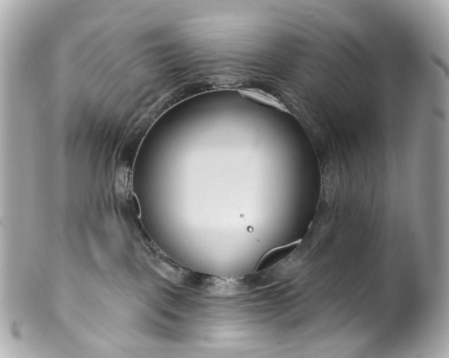 X0000099540093200805301509