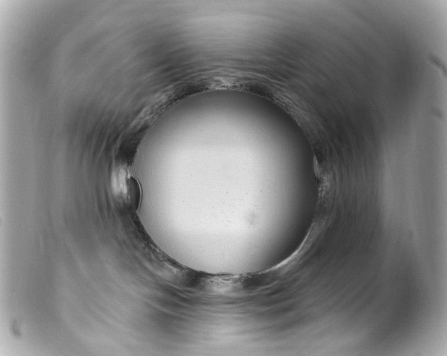 X0000099540094200805301509