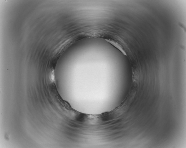 X0000099540095200805301509