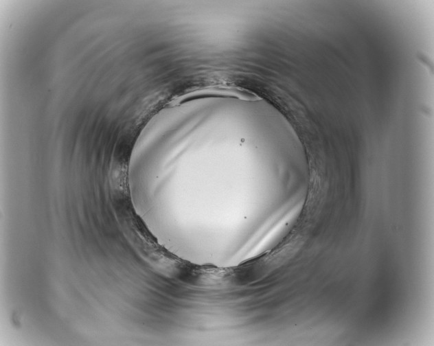 X0000099540096200805301509