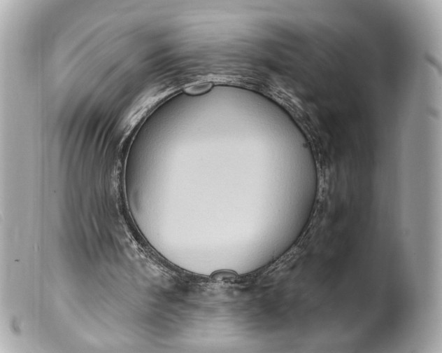 X0000099540098200805301509