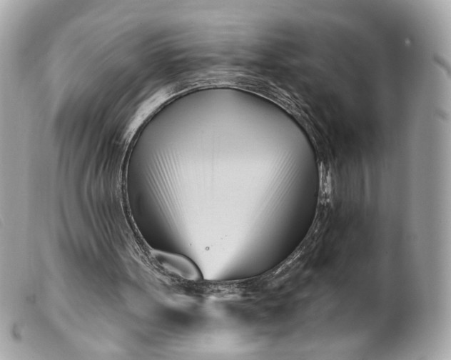 X0000099540099200805301509