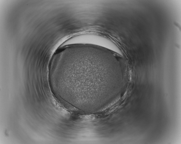 X0000099540100200805301509