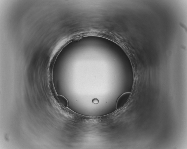 X0000099540102200805301509