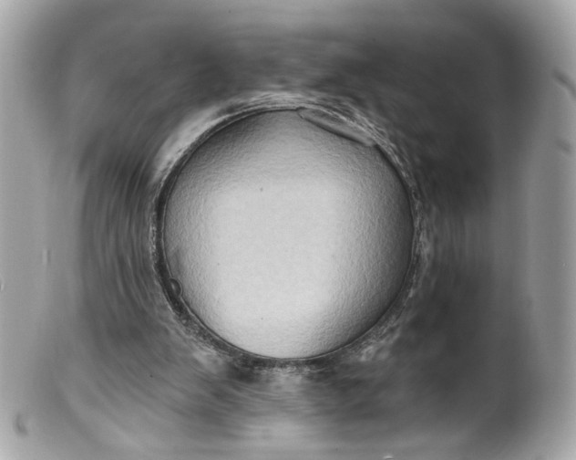 X0000099540103200805301508