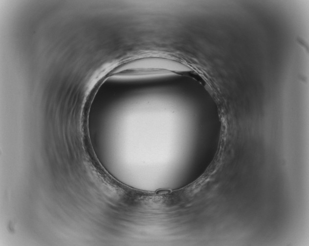 X0000099540104200805301508