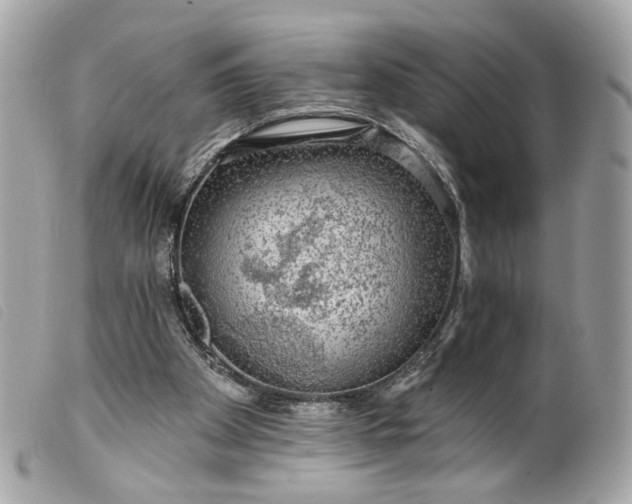 X0000099540105200805301508