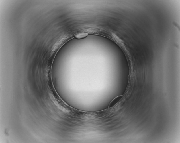 X0000099540106200805301508