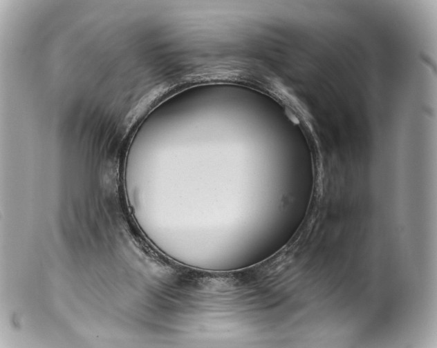 X0000099540107200805301508