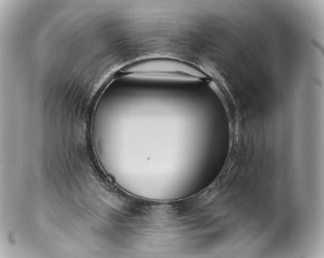 X0000099540108200805301508