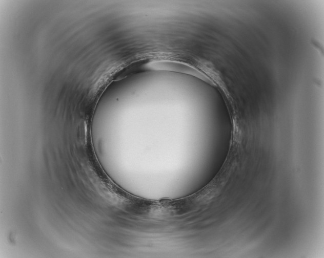 X0000099540109200805301508