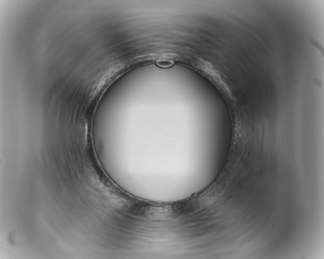 X0000099540110200805301508