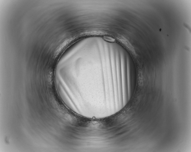 X0000099540111200805301508