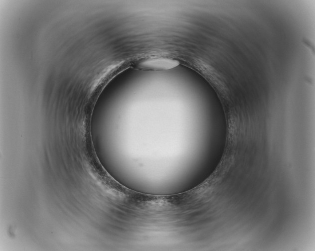 X0000099540112200805301508