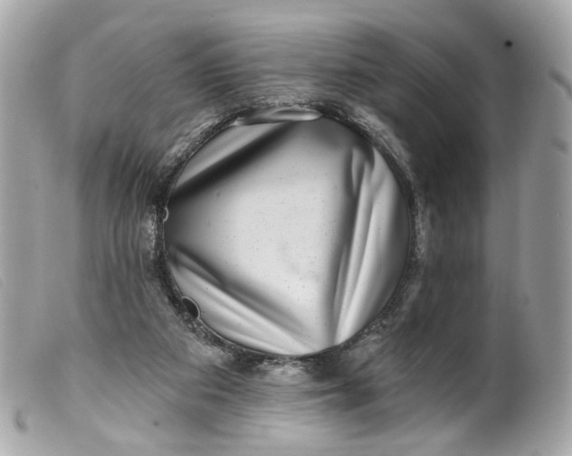 X0000099540113200805301508