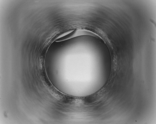 X0000099540114200805301508