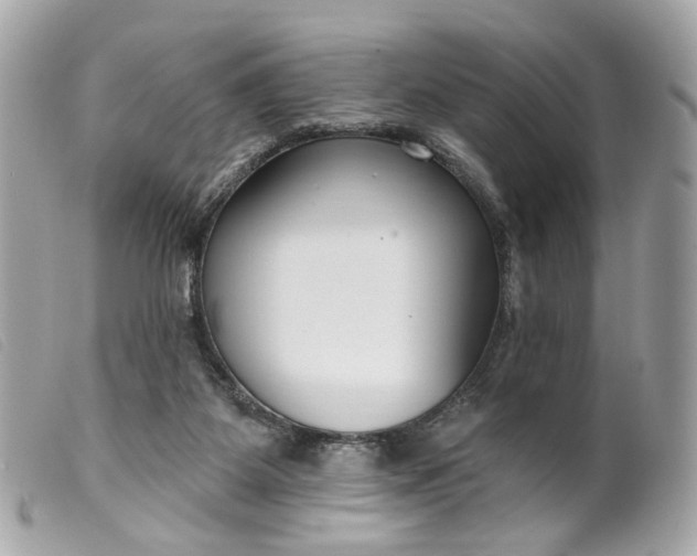 X0000099540115200805301508