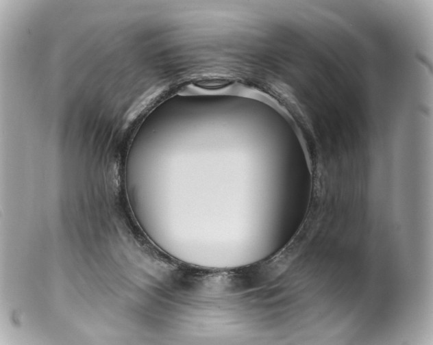 X0000099540116200805301508