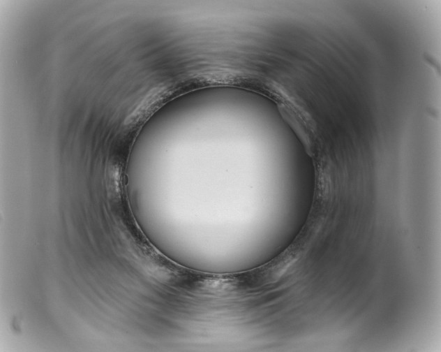 X0000099540117200805301508